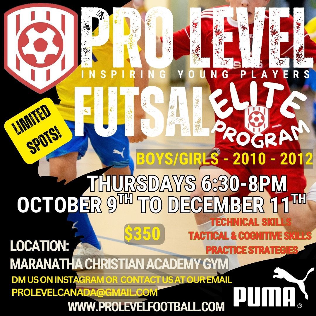Futsal2